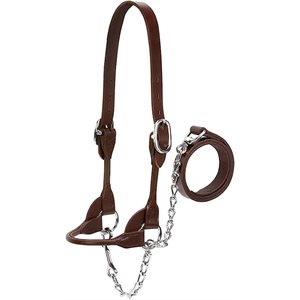SHOW HALTER BROWN SMALL