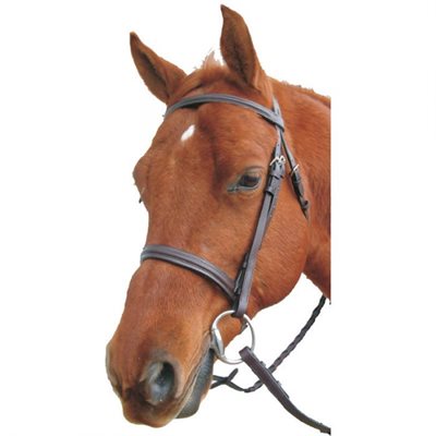 ENGLISH BRIDLE WITH REINS BLACK
