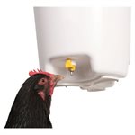 Suspended chicken waterer, 3 nipples, 12 L