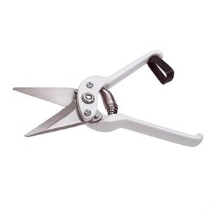 Footrot Shears - Non-serated, White Handle