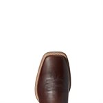 BOTTE ARIAT HOMME COUNTRY CUSCO BRUN