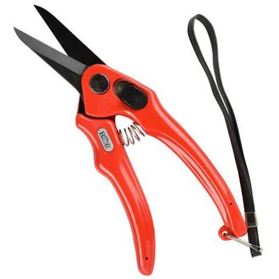 FOOTROT SHEARS ROUGE SERRATED SUPER SHARP